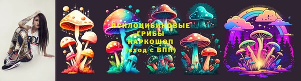 стаф Краснослободск