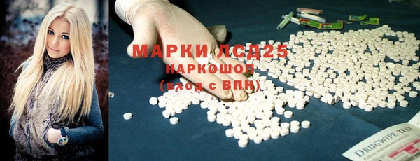 стаф Краснослободск