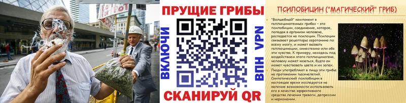 мега   как найти наркотики  Тутаев  Псилоцибиновые грибы Magic Shrooms 
