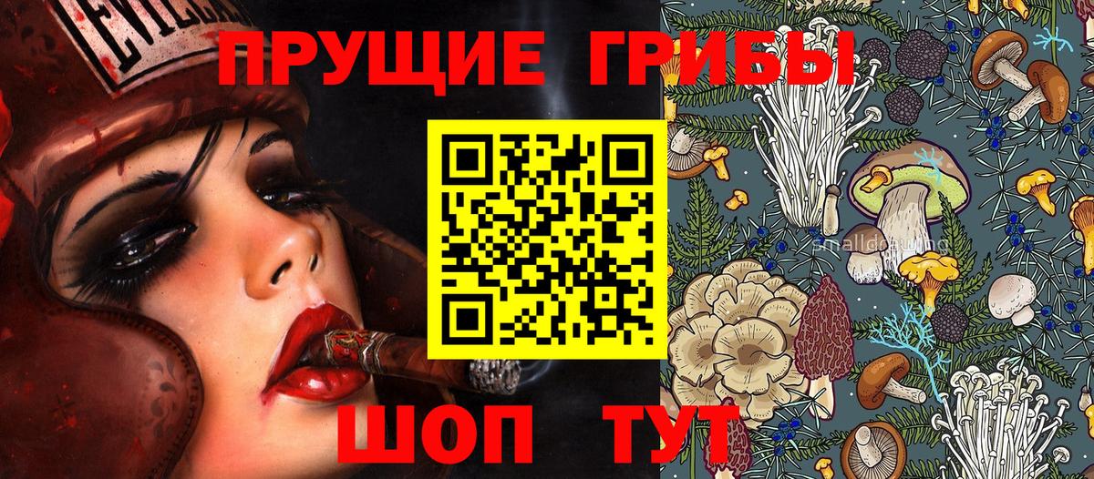 Псилоцибиновые грибы мицелий Тутаев